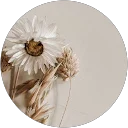 Mekhana M Kumar profile picture